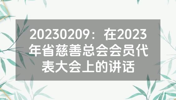 20230209：在2023年省慈善总会会员代表大会上的讲话