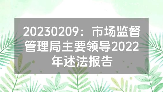 20230209：市场监督管理局主要领导2022年述法报告