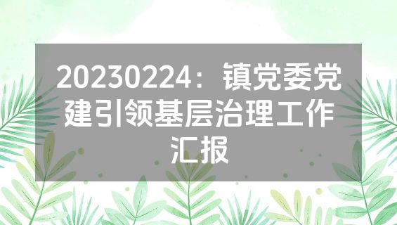 20230224：镇党委党建引领基层治理工作汇报