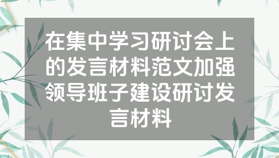 在集中学习研讨会上的发言材料范文加强领导班子建设研讨发言材料