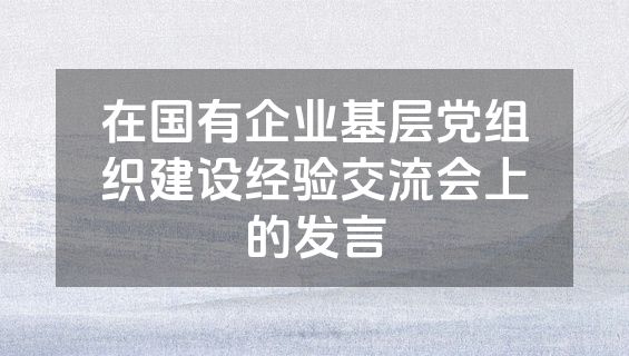 在国有企业基层党组织建设经验交流会上的发言