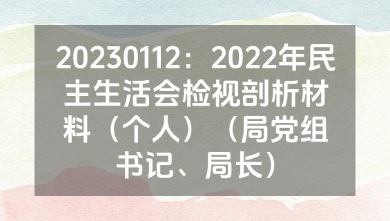 20230112：2022年民主生活会检视剖析材料（个人）（局党组书记、局长）