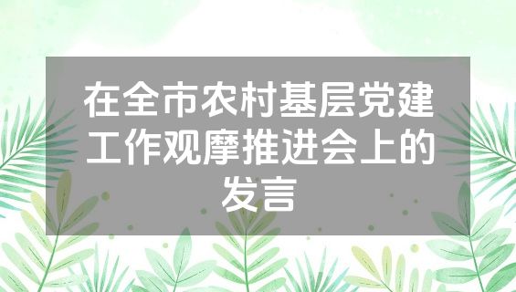 在全市农村基层党建工作观摩推进会上的发言