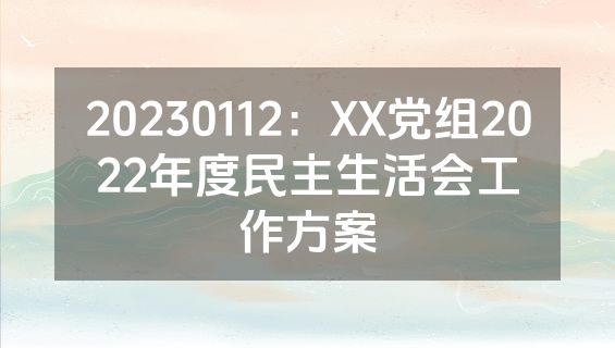20230112：XX党组2022年度民主生活会工作方案