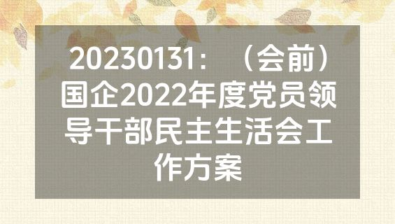20230131：（会前）国企2022年度党员领导干部民主生活会工作方案