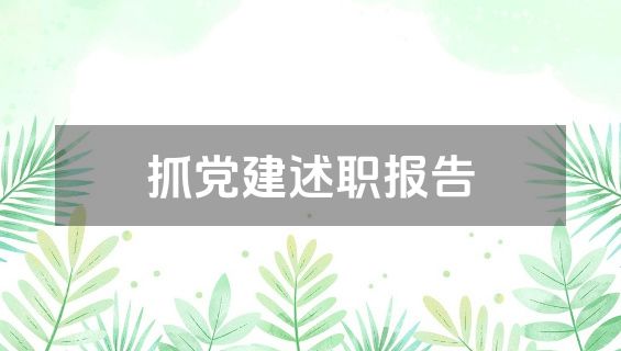 抓党建述职报告