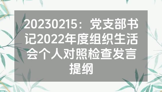 20230215：党支部书记2022年度组织生活会个人对照检查发言提纲