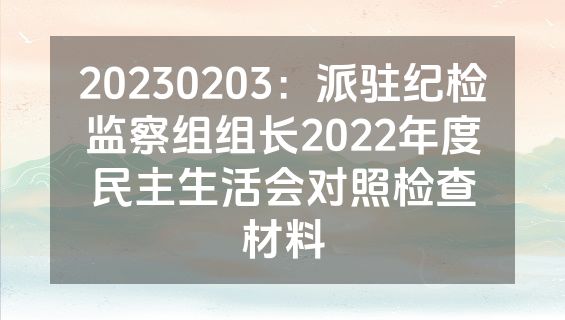 20230203：派驻纪检监察组组长2022年度民主生活会对照检查材料