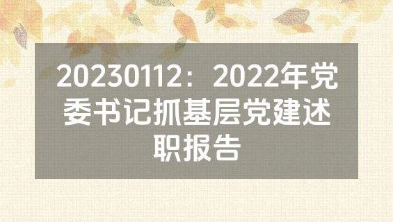 20230112：2022年党委书记抓基层党建述职报告