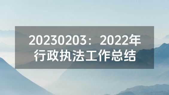 20230203：2022年行政执法工作总结
