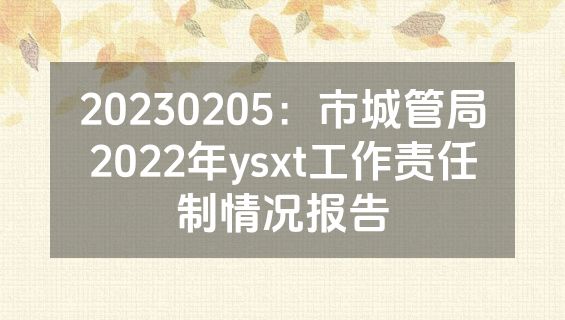 20230205：市城管局2022年ysxt工作责任制情况报告