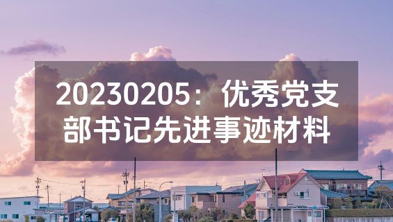 20230205：优秀党支部书记先进事迹材料