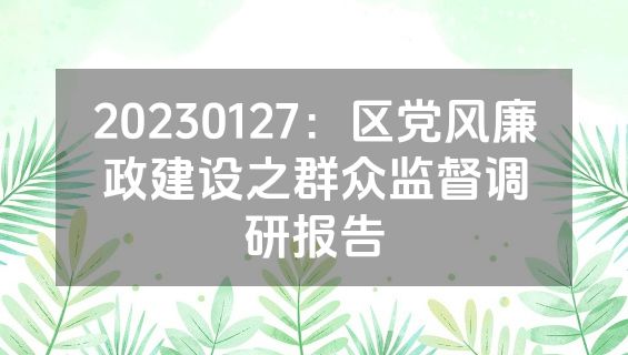 20230127：区党风廉政建设之群众监督调研报告