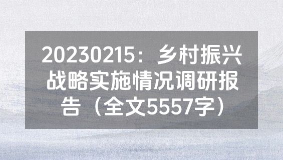20230215：乡村振兴战略实施情况调研报告（全文5557字）