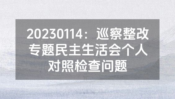 20230114：巡察整改专题民主生活会个人对照检查问题
