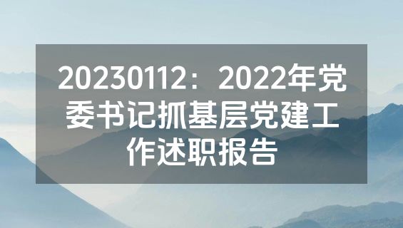 20230112：2022年党委书记抓基层党建工作述职报告