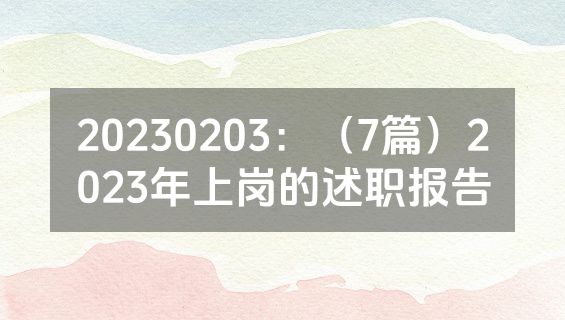 20230203：（7篇）2023年上岗的述职报告