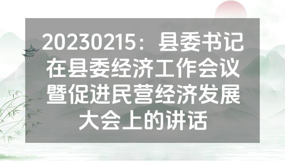20230215：县委书记在县委经济工作会议暨促进民营经济发展大会上的讲话