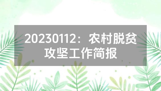 20230112：农村脱贫攻坚工作简报