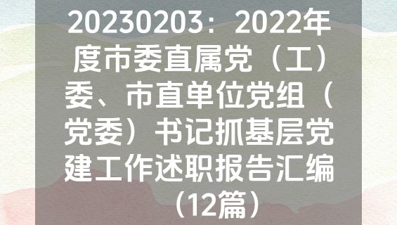 20230203：2022年度市委直属党（工）委、市直单位党组（党委）书记抓基层党建工作述职报告汇编（12篇）