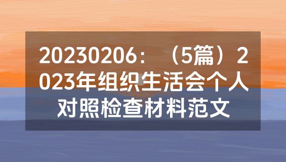 20230206：（5篇）2023年组织生活会个人对照检查材料范文