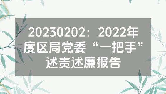 20230202：2022年度区局党委“一把手”述责述廉报告