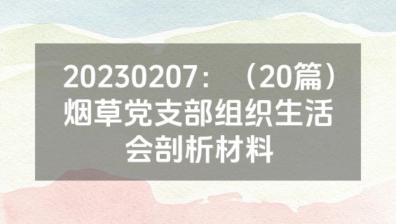 20230207：（20篇）烟草党支部组织生活会剖析材料