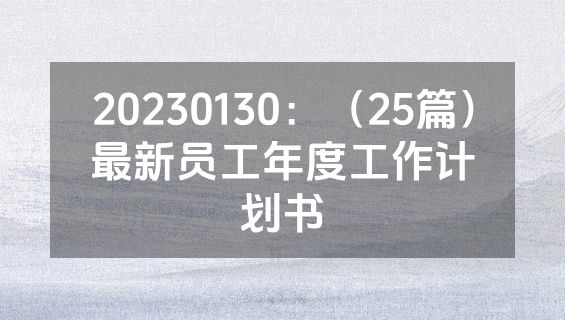 20230130：（25篇）最新员工年度工作计划书