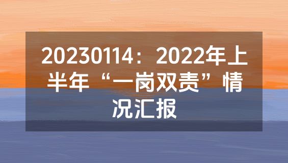 20230114：2022年上半年“一岗双责”情况汇报