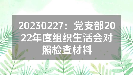 20230227：党支部2022年度组织生活会对照检查材料