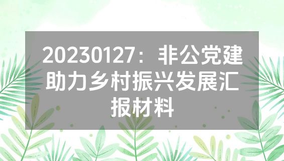 20230127：非公党建助力乡村振兴发展汇报材料