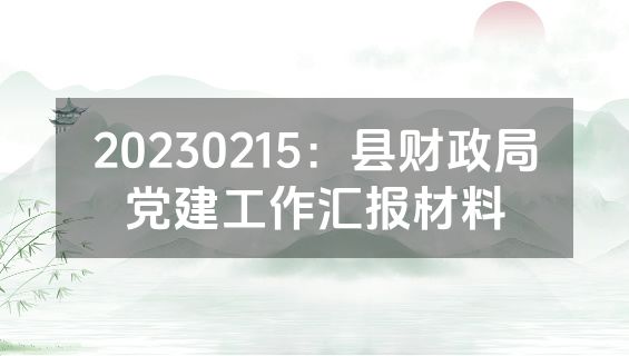 20230215：县财政局党建工作汇报材料