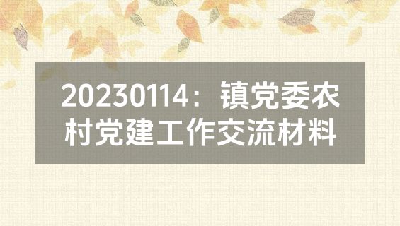 20230114：镇党委农村党建工作交流材料