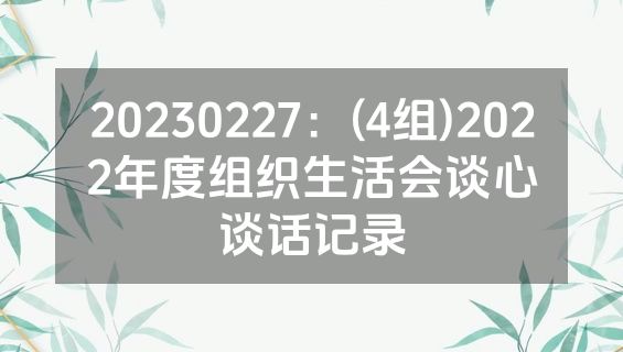 20230227：(4组)2022年度组织生活会谈心谈话记录