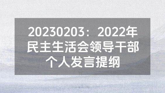 20230203：2022年民主生活会领导干部个人发言提纲