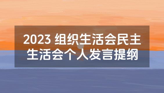 2023 组织生活会民主生活会个人发言提纲