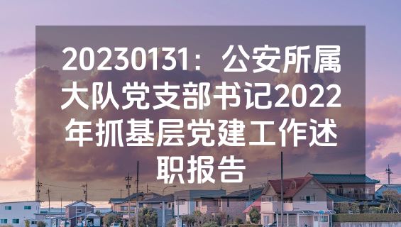 20230131：公安所属大队党支部书记2022年抓基层党建工作述职报告