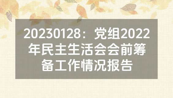 20230128：党组2022年民主生活会会前筹备工作情况报告