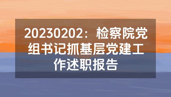 20230202：检察院党组书记抓基层党建工作述职报告