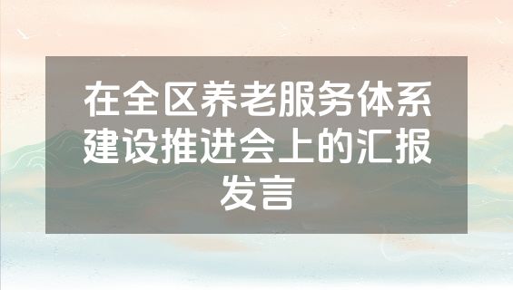 在全区养老服务体系建设推进会上的汇报发言