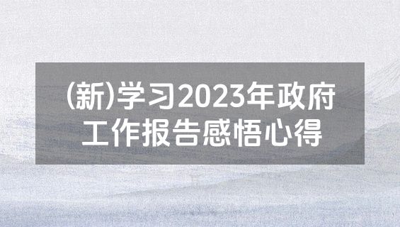(新)学习2023年政府工作报告感悟心得