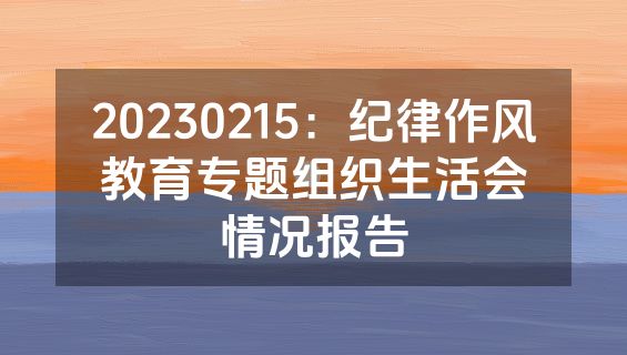 20230215：纪律作风教育专题组织生活会情况报告