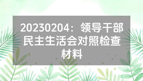 20230204：领导干部民主生活会对照检查材料