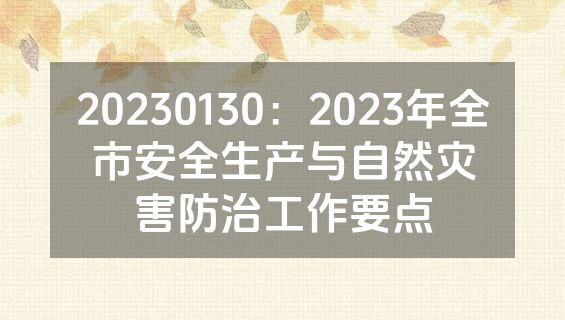 20230130：2023年全市安全生产与自然灾害防治工作要点