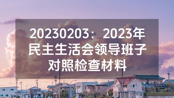 20230203：2023年民主生活会领导班子对照检查材料