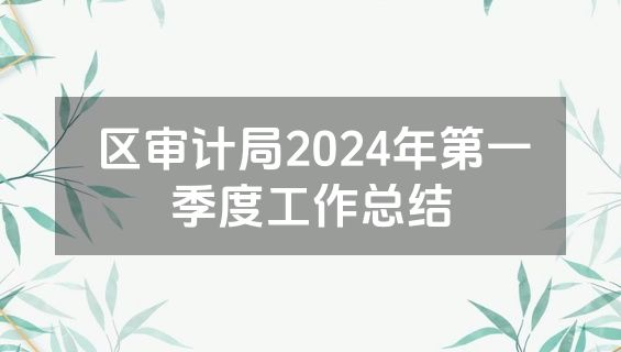 区审计局2024年第一季度工作总结