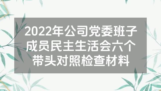 2022年公司党委班子成员民主生活会六个带头对照检查材料