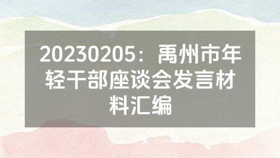 20230205：禹州市年轻干部座谈会发言材料汇编