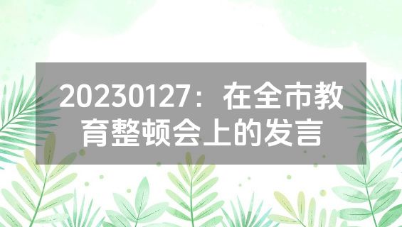 20230127：在全市教育整顿会上的发言