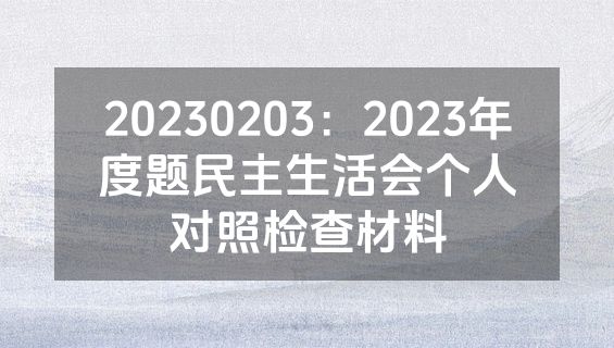 20230203：2023年度题民主生活会个人对照检查材料